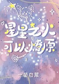 星星之火,可以燎原封面