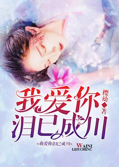 我爱你泪已成川封面