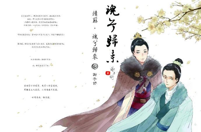 (靖苏HE)魂兮归来封面
