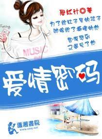 爱情密码封面