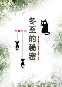 冬至的秘密封面