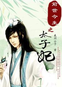 前世今生之太子妃封面