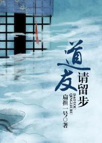 道友请留步封面