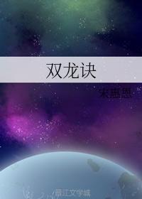 双龙诀封面