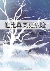 他比罂粟更危险封面