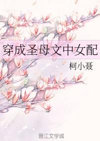 穿成圣母文中女配封面