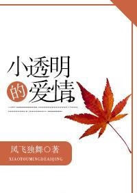 小透明的爱情封面