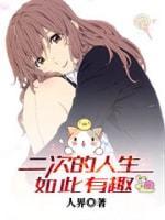 二次的人生如此有趣封面