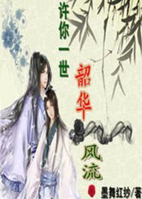 许你一世韶华风流封面