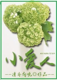 小爱人封面