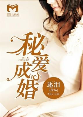 秘爱成婚封面