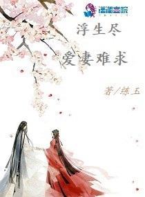 浮生尽：爱妻难求封面
