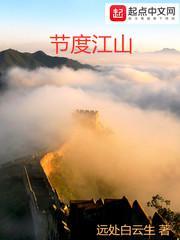 节度江山封面