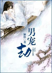 男宠劫封面