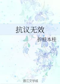 抗议无效封面