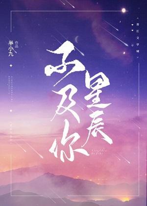 星辰不及你封面