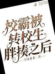 校霸被转校生胖揍之后封面
