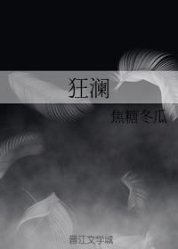 狂澜封面