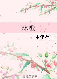 沐橙封面