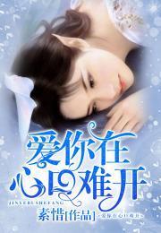 爱你在心口难开封面