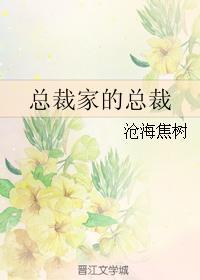 总裁家的总裁封面