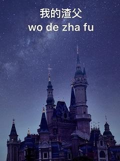 我的渣父封面