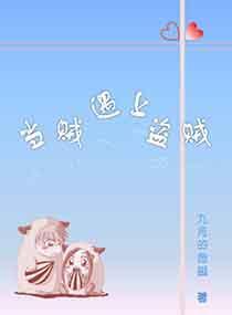当贼遇上盗贼封面