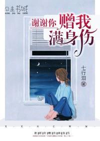 谢谢你赠我满身伤安默暖席慕寒封面
