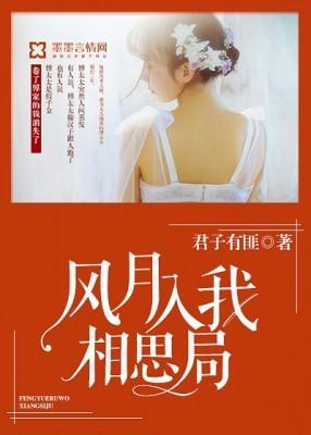 风月入我相思局封面