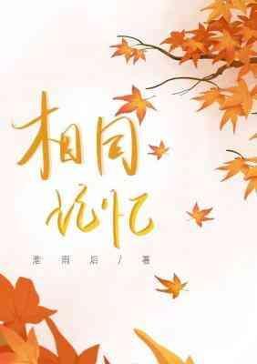 相同记忆封面