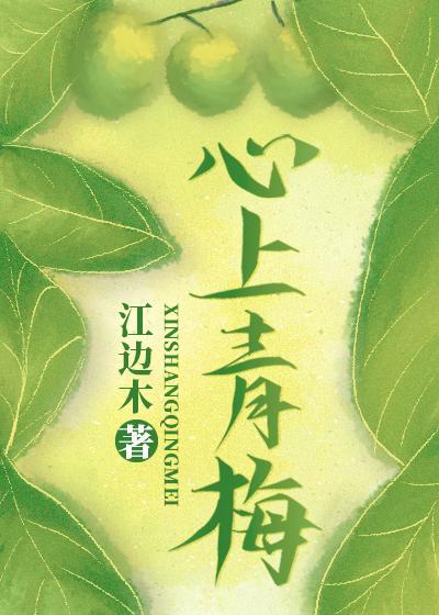 心上青梅封面
