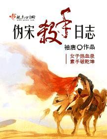 伪宋杀手日志封面