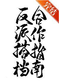 反派搭檔合作指南封面