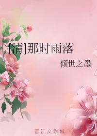 那时雨落封面