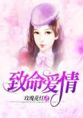 致命爱情封面