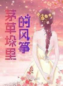 茅草垛里的风筝封面