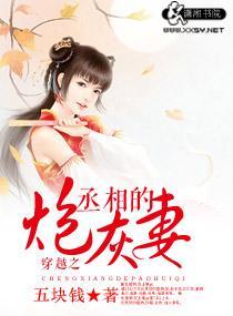 穿越之丞相的炮灰妻封面