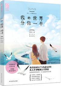 我的世界分你一半封面