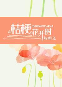 桔梗花开时封面
