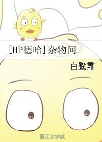 [HP德哈]杂物间封面