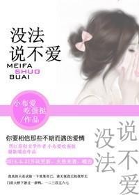 没法说不爱封面