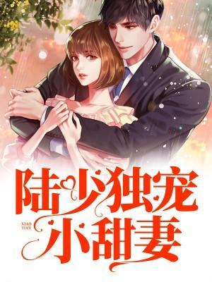 陆少独宠小甜妻封面