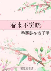 春来不觉晓封面