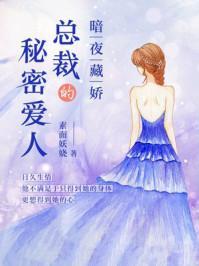 暗夜藏娇:总裁的秘密爱人封面