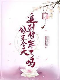 公主今天追到将军了吗封面