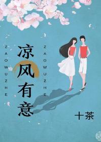 凉风有意封面
