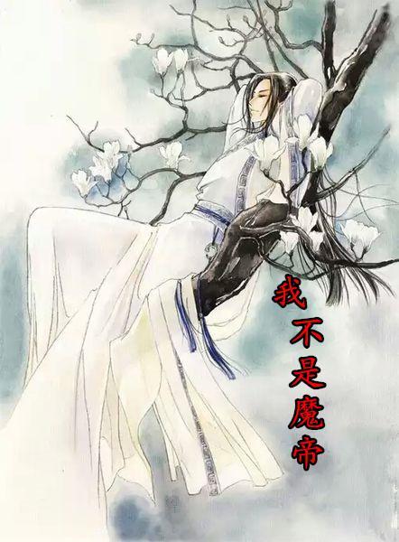 我不是魔帝封面