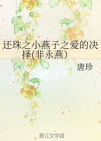 还珠之小燕子之爱的决择（非永燕）封面