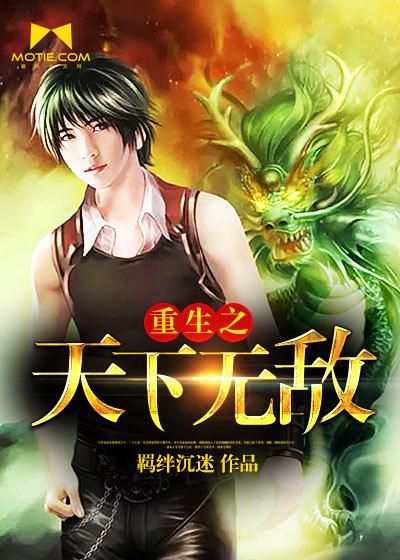 重生之天下无敌封面
