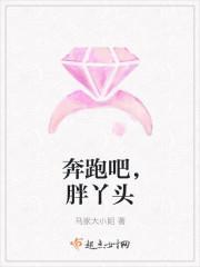 奔跑吧，胖丫头封面